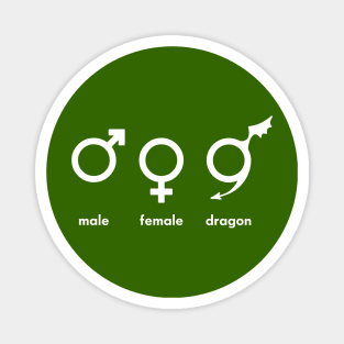 male female dragon Magnet